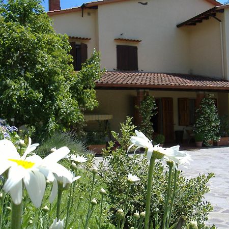 Da Ronald ... A Pian Del Papa Guest House Pratovecchio Ngoại thất bức ảnh