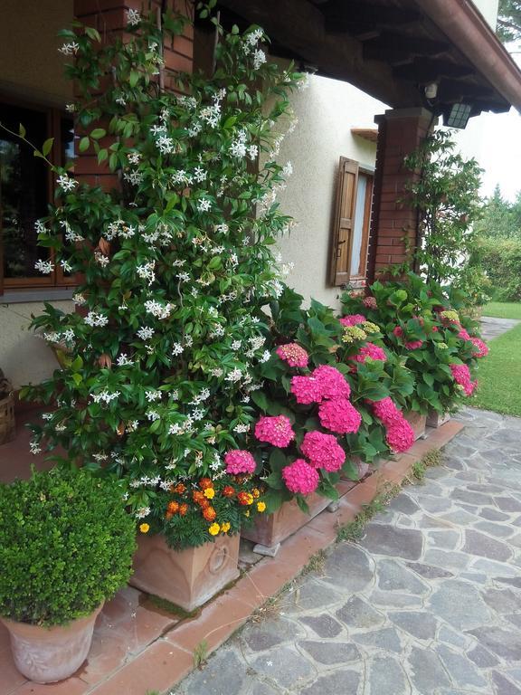 Da Ronald ... A Pian Del Papa Guest House Pratovecchio Ngoại thất bức ảnh