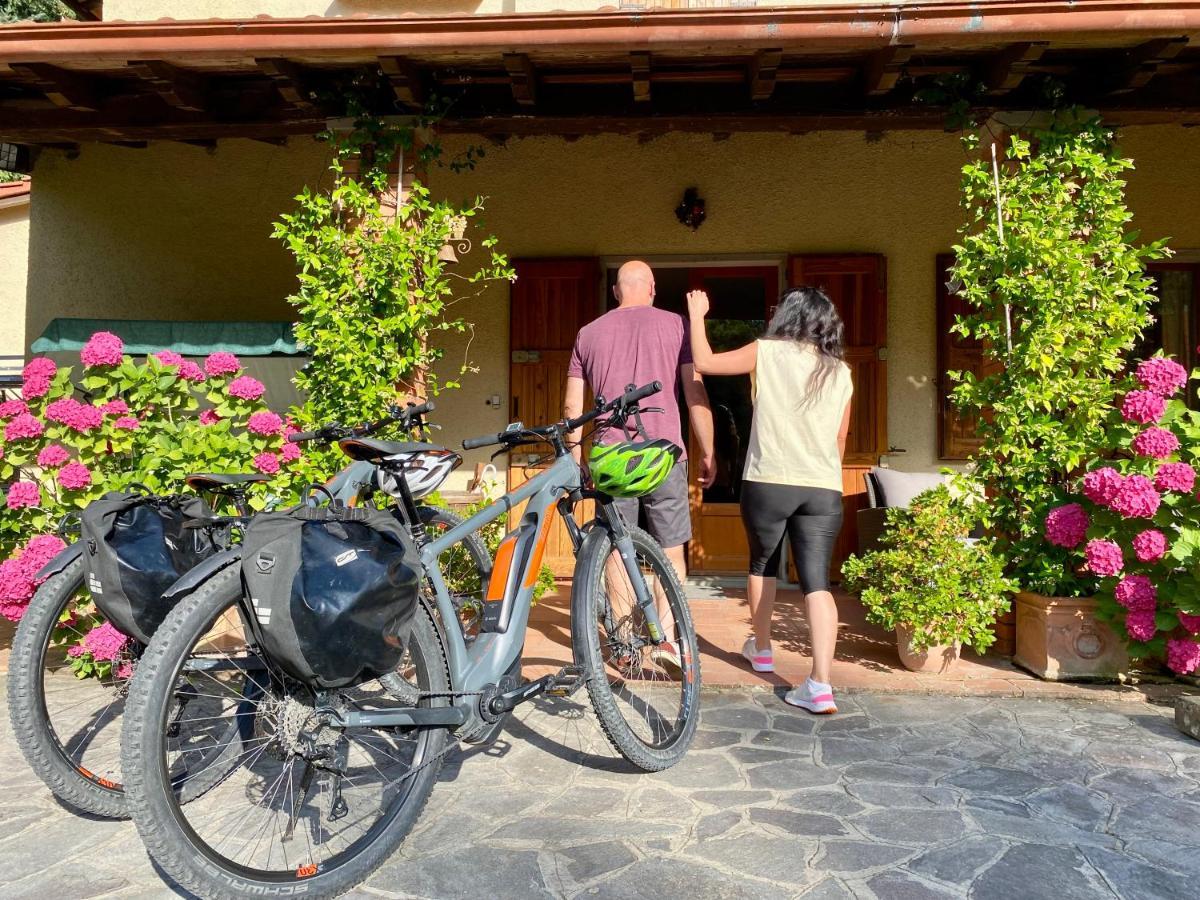 Da Ronald ... A Pian Del Papa Guest House Pratovecchio Ngoại thất bức ảnh